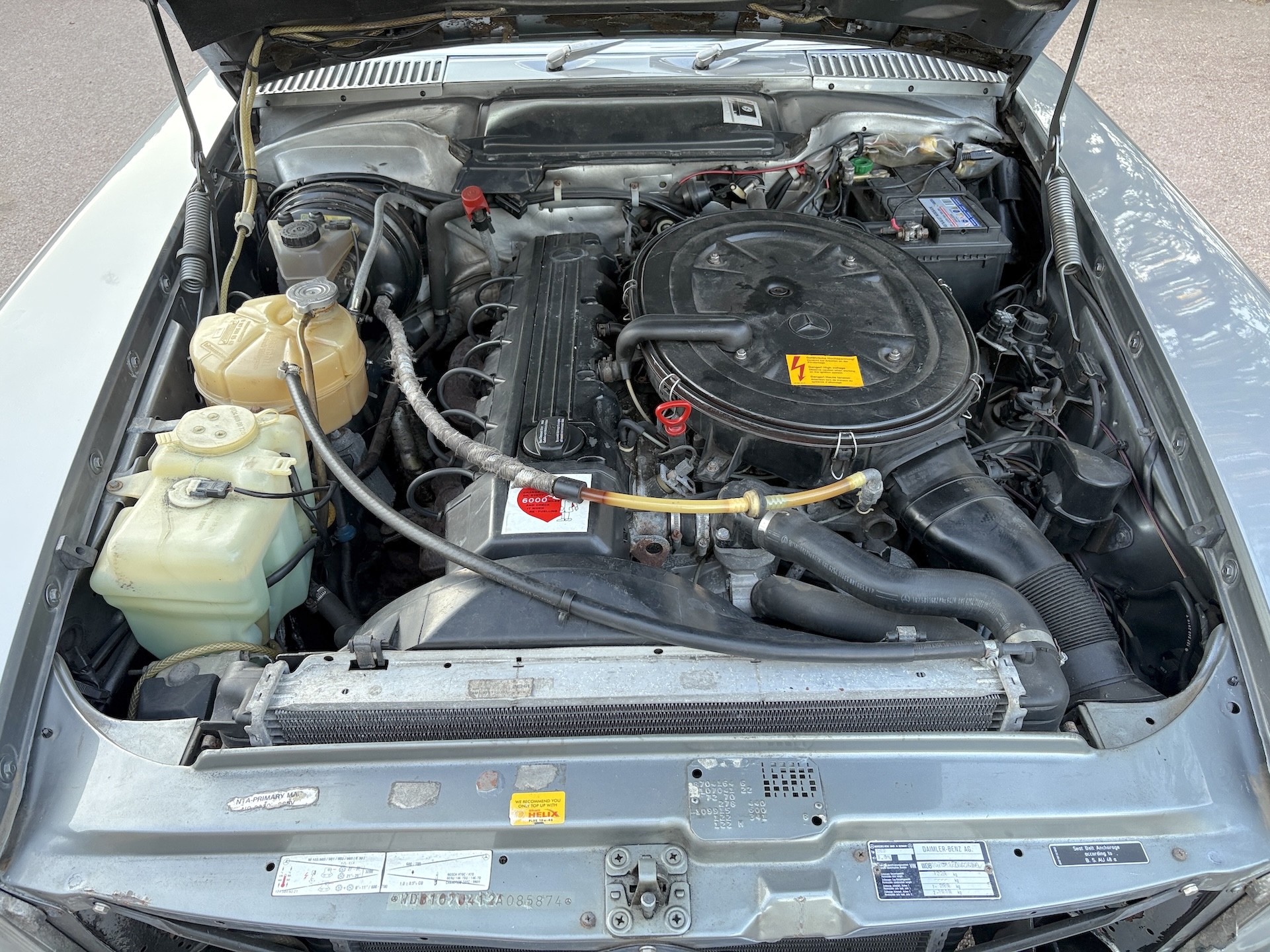 IMG_0849.JPG
